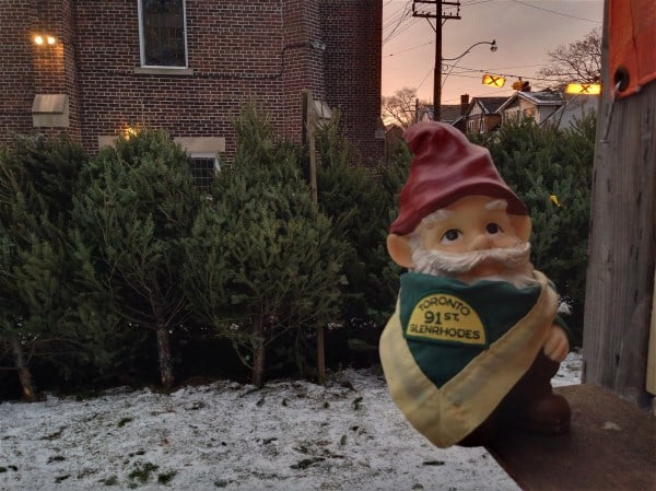 Gnome for Christmas
