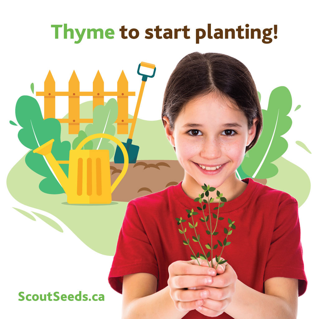 Thyme to start planting
