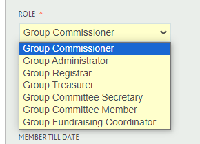 Committee Roles
