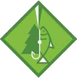 Pioneer Scout